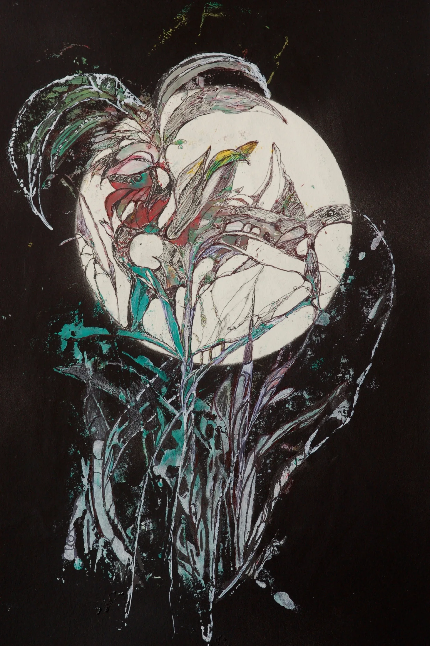 luna piena 7